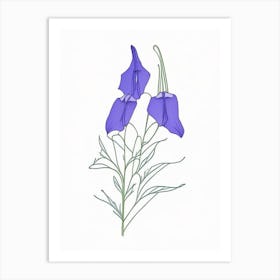 Canterbury Bell Floral Minimal Line Drawing 3 Flower Art Print