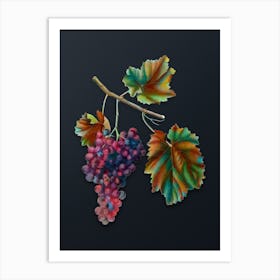 Vintage Lacrima Grapes Botanical Watercolor Illustration on Dark Teal Blue Art Print