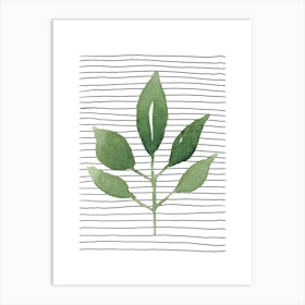 Green Leaf 5 Art Print