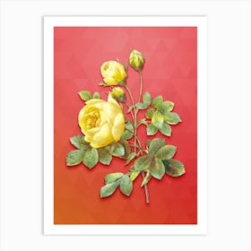 Vintage Yellow Rose Botanical Art on Fiery Red n.1154 Art Print