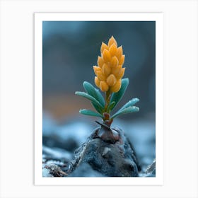 Flower Blooming On Rocks Art Print