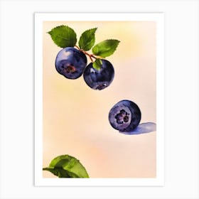Blueberry Italian Watercolour fruit Art Print