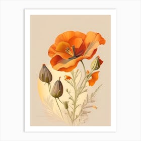California Poppy Spices And Herbs Retro Drawing 1 Art Print