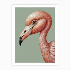 Flamingo 21 Art Print