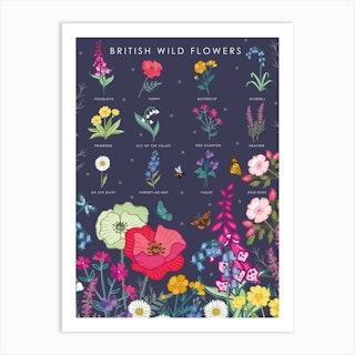 British Wild Flowers Art Print