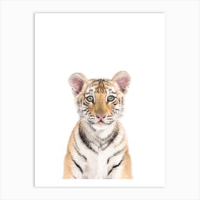 Baby Tiger Art Print