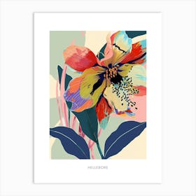 Colourful Flower Illustration Poster Hellebore 3 Art Print