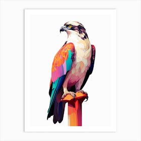 Colourful Geometric Bird Osprey Art Print