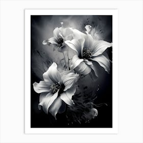 Black And White Flowers 2 Art Print