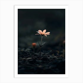 Flower In The Dark 6 Art Print