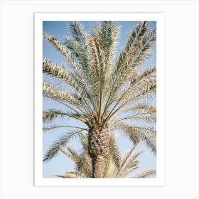 Palm Tree in Ibiza // Ibiza Nature & Travel Photography Art Print