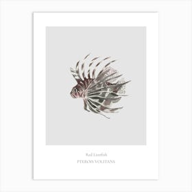 Lionfish Art Print