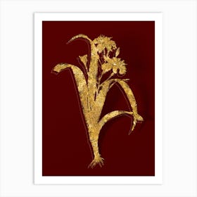 Vintage Iris Fimbriata Botanical in Gold on Red n.0220 Art Print