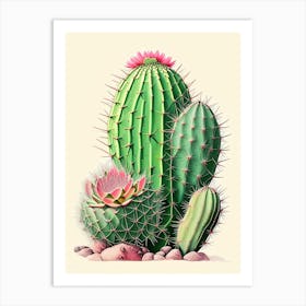 Notocactus Cactus Retro Drawing 2 Art Print