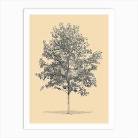 Maple Tree Minimalistic Drawing 1 Art Print