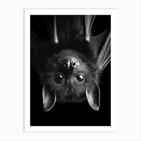 Portrait Of A Bat Art Print