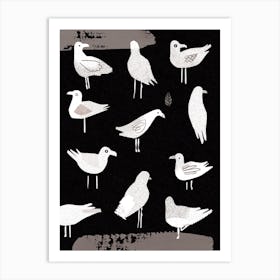 Seagulls Art Print
