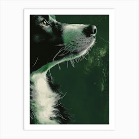 Border Collie Canvas Print Poster