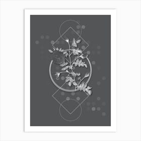 Vintage Silver Flowered Hispid Rose Botanical with Line Motif and Dot Pattern in Ghost Gray Art Print