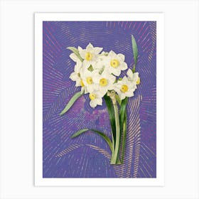 Vintage Bunch Flowered Daffodil Botanical Illustration on Veri Peri n.0757 Art Print