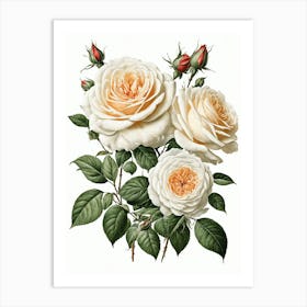 Vintage Galleria Style Rose Art Painting 17 Art Print