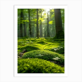 Mossy Forest Art Print