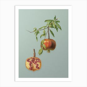 Vintage Pomegranate Botanical Art on Mint Green n.0466 Art Print