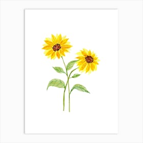 Sunflowers 1 Art Print