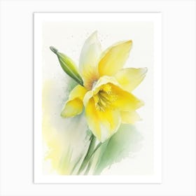 Daffodil Wildflower Watercolour Art Print