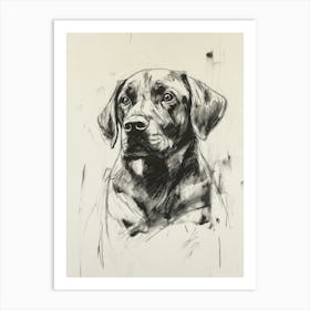 Labrador Retriever Dog Art Print