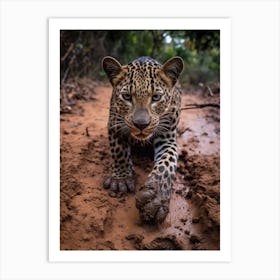 African Leopard Muddy Paws Realism 1 Art Print