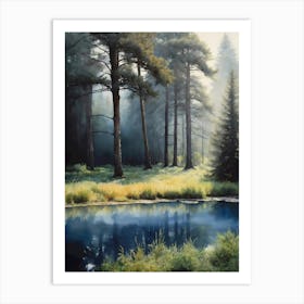 Pond In The Forest Art Print