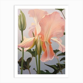 Floral Illustration Gloriosa Lily 3 Art Print