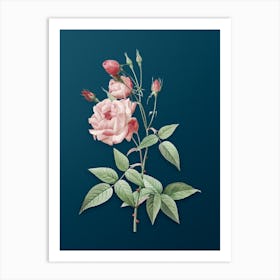 Vintage Common Rose of India Botanical Art on Teal Blue Art Print