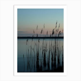 Reeds At Sunset Art Print