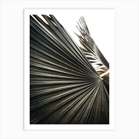 Palm Leaf 1 Art Print