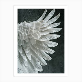 Poster Bw Wings 2 Art Print