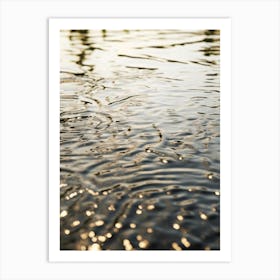 Reflection In Water 1 Art Print