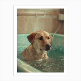 Dog In A Bath Art Print