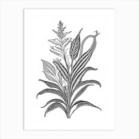 Comfrey Herb William Morris Inspired Line Drawing 2 Art Print