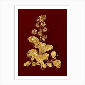Vintage European Smoketree Botanical in Gold on Red n.0218 Art Print