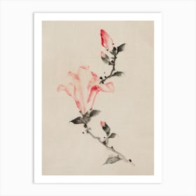 Magnolia Blossom, Katsushika Hokusai Art Print