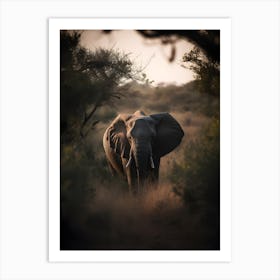 Elephant In The Bush Art Print