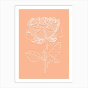 Rose Art Print