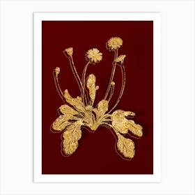Vintage Daisy Flowers Botanical in Gold on Red n.0222 Art Print