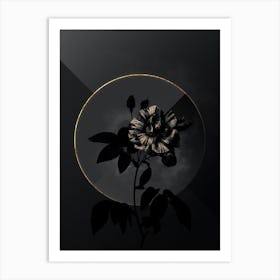 Shadowy Vintage Variegated French Rosebush Botanical on Black with Gold Art Print