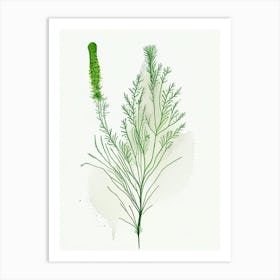 Dill Herb Minimalist Watercolour 2 Art Print