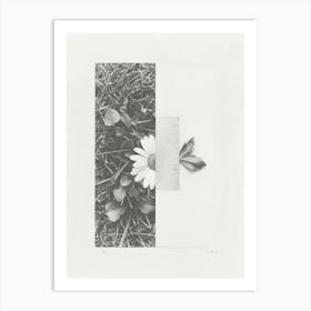 Daisy Flower Photo Collage 2 Art Print