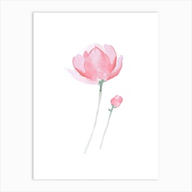 Peony Art Print