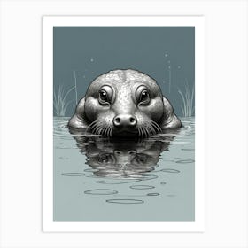 Seal In The Water Art Print